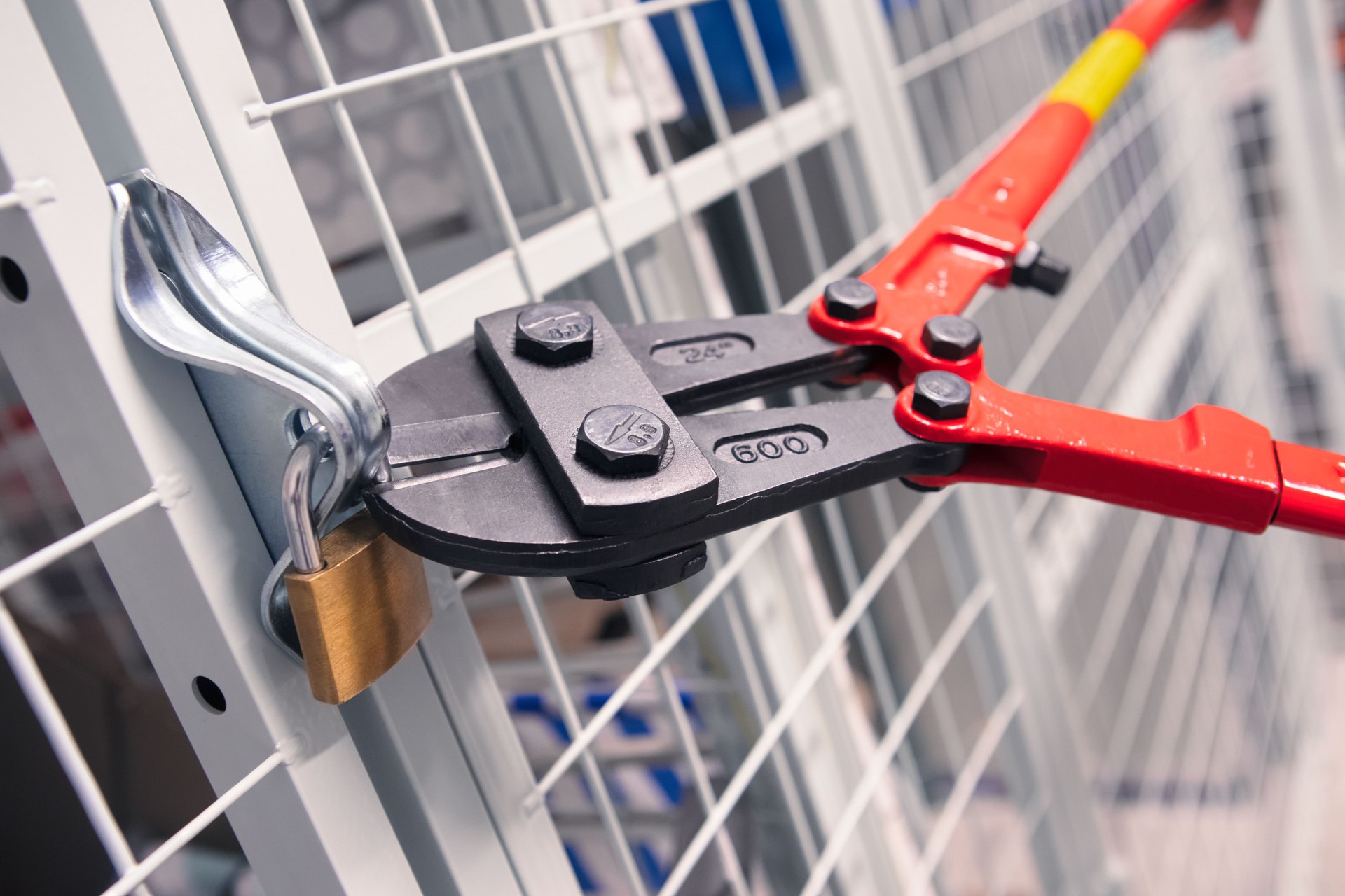 Removing a padlock of a storage room with a bolt cutter